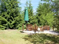 Sleep under a Thatched Roof - Apartment in Ahlbeck Near Haff