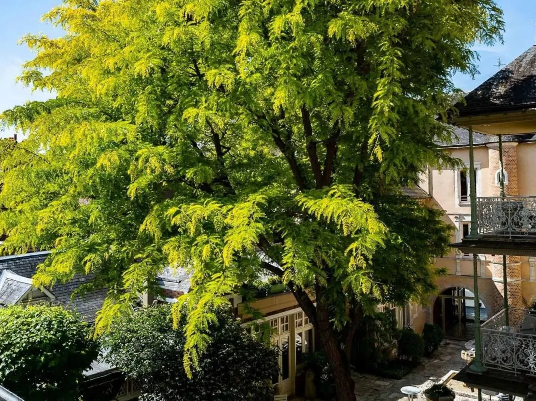 Grand Hôtel Du Lion D'or - Romorantin-Lanthenay