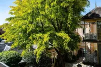 Grand Hôtel du Lion d'Or Hotels in Langon