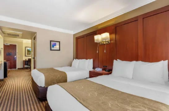 Comfort Suites Visalia - Convention Center Hotels in Tulare County