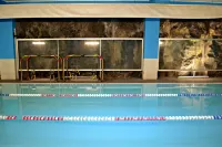 Hotel Centro Benessere Acquaplanet Hotels in Vitelleria