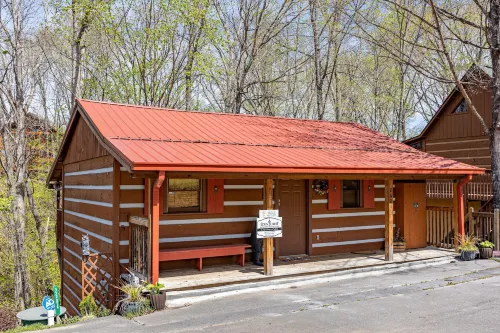 Cozy Bears Cabin
