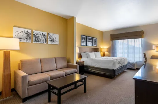 Miles City I-94 的舒眠套房酒店