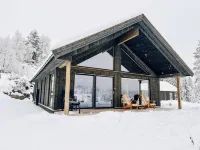 Modern Mountain Cabin - 3 Bedrooms - Sleeps 7 - Homestay
