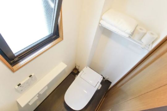 Other Dandelion Photo