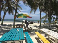 Treetops Hotel - Beach resorts