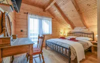 Luxury Villa in Vinogradi Ludbreski - Pools