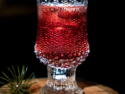 ワイルダネスホテルジュータ イナリのホテル