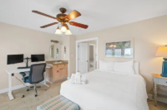 비치즈 앤 드림즈 바이 북 댓 콘도