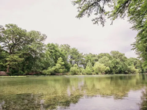 Frio River Cabins Hotels in Real County
