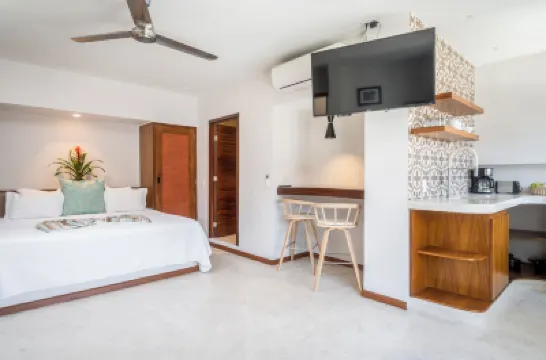 โรงแรมเอโลอิซา - ใกล้ปลายาเดอลอสมูเออโตส โรงแรมใกล้Zona Romantica