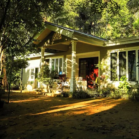 Tree Nature Resort
