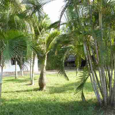 Luxury Villa Hotel Exterior