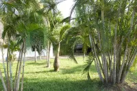 Luxury Villa Hotels in 