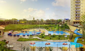 Golden Dolphin Express