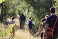 Muweti Bush Lodge فنادق في فالابوروا