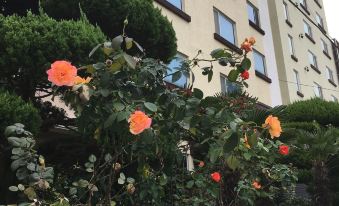 Charmant Hotel
