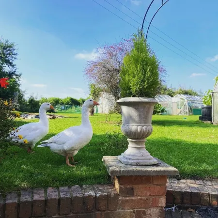 The Talbot at Knightwick Отели в г. Авенбери