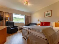 Storefjell Resort Hotel Hotels in Gol