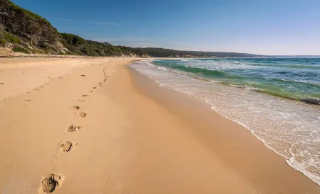 Catlins Newhaven Holiday Park Отели в г. Кака Пойнт