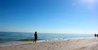 薩尼貝爾島海灘度假村 - 沙灘