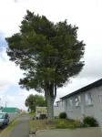 Totara Lodge Motel Hotels in Otaki