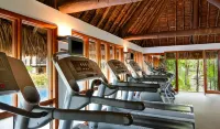 Sheraton Denarau Villas - Gym