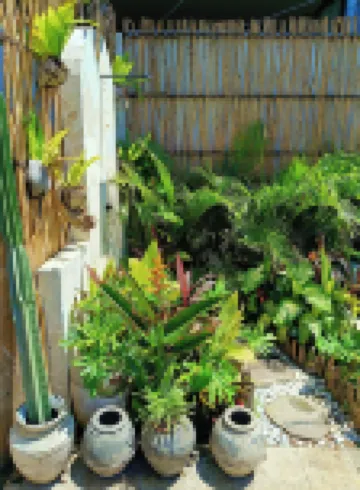 蓓蕾三姆畔酒店