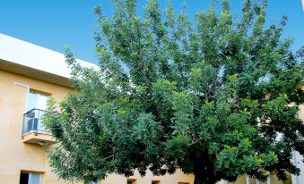 Zaiera Resort Club