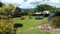 Palm Motel Waihi Hotels in Athenree
