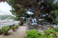 Apartments Franka Saplunara - Homestays