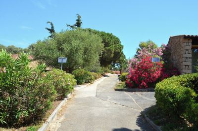 Surroundings Residence Alba Rossa Photo