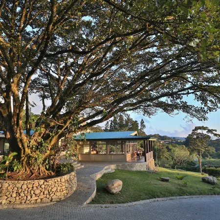 Senda Monteverde Hotel Member of the Cayuga Collection