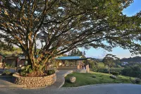 Senda Monteverde