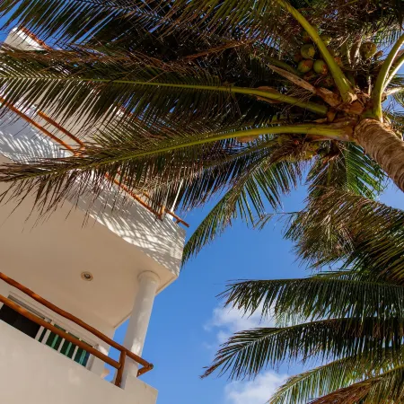 Hotel & Beach Club Ojo de Agua