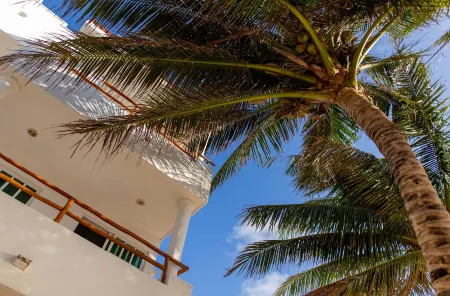 Hotel & Beach Club Ojo de Agua