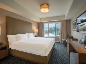 The Malcolm Hotel