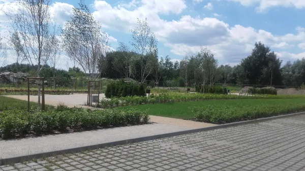 Вилянув