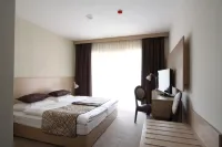 Hotel Mangart Hotels near Boka Waterfall