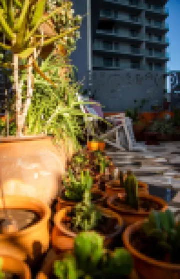 Guesthouse Malagueta Inn I