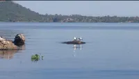 El´Molo Crocodile Park and Lodge - Cho phép mang theo thú cưng