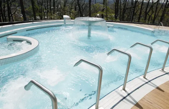 範德瓦爾克温泉酒店