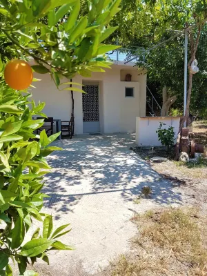 KaliVie Bio Farm & Retreat