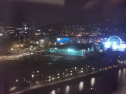 全景視圖