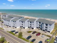 Sea Colony #12A