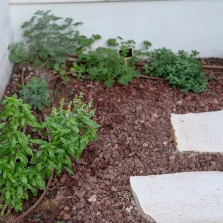 DOV Garden Apartment with Private Pool