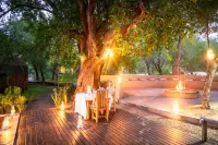 Rukiya Safari Camp Hotels near Rosie's Pan