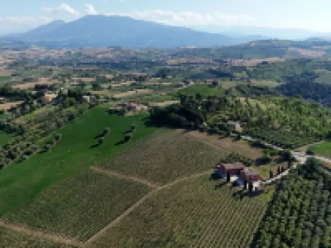 Cantina d'Erasmo - Camere e Degustazioni Hotel di Offida