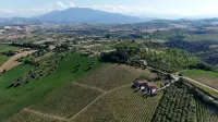 Cantina d'Erasmo - Camere e Degustazioni فنادق في Colli del Tronto