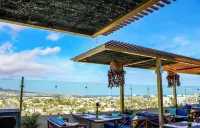 Collection O Morgan City Center, Los Cabos Hotels in Cabo San Lucas